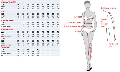 normal body size chart